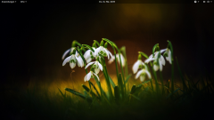 Gnome Desktop