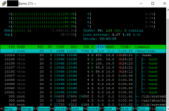2023-06-05 12_53_31-htop