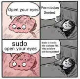 brain_sudo